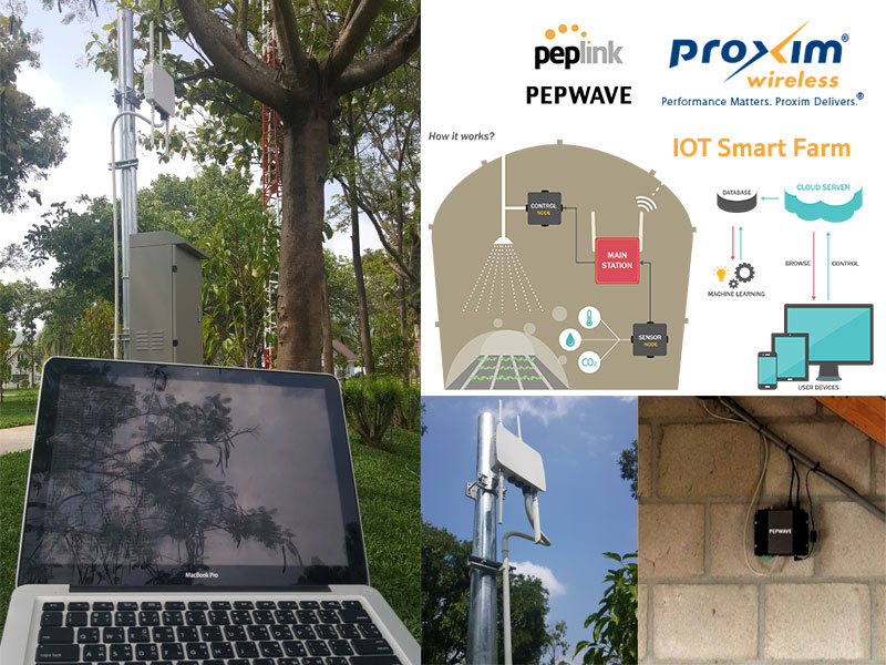 iot smartfarm by peplink proxim wireless