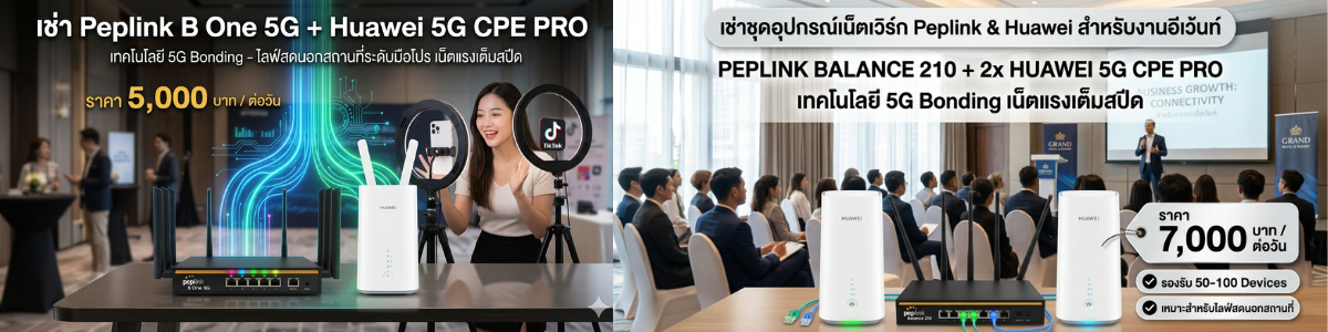 peplink balance 210