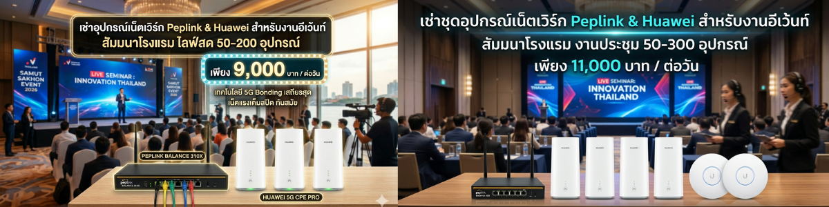 peplink balance 305